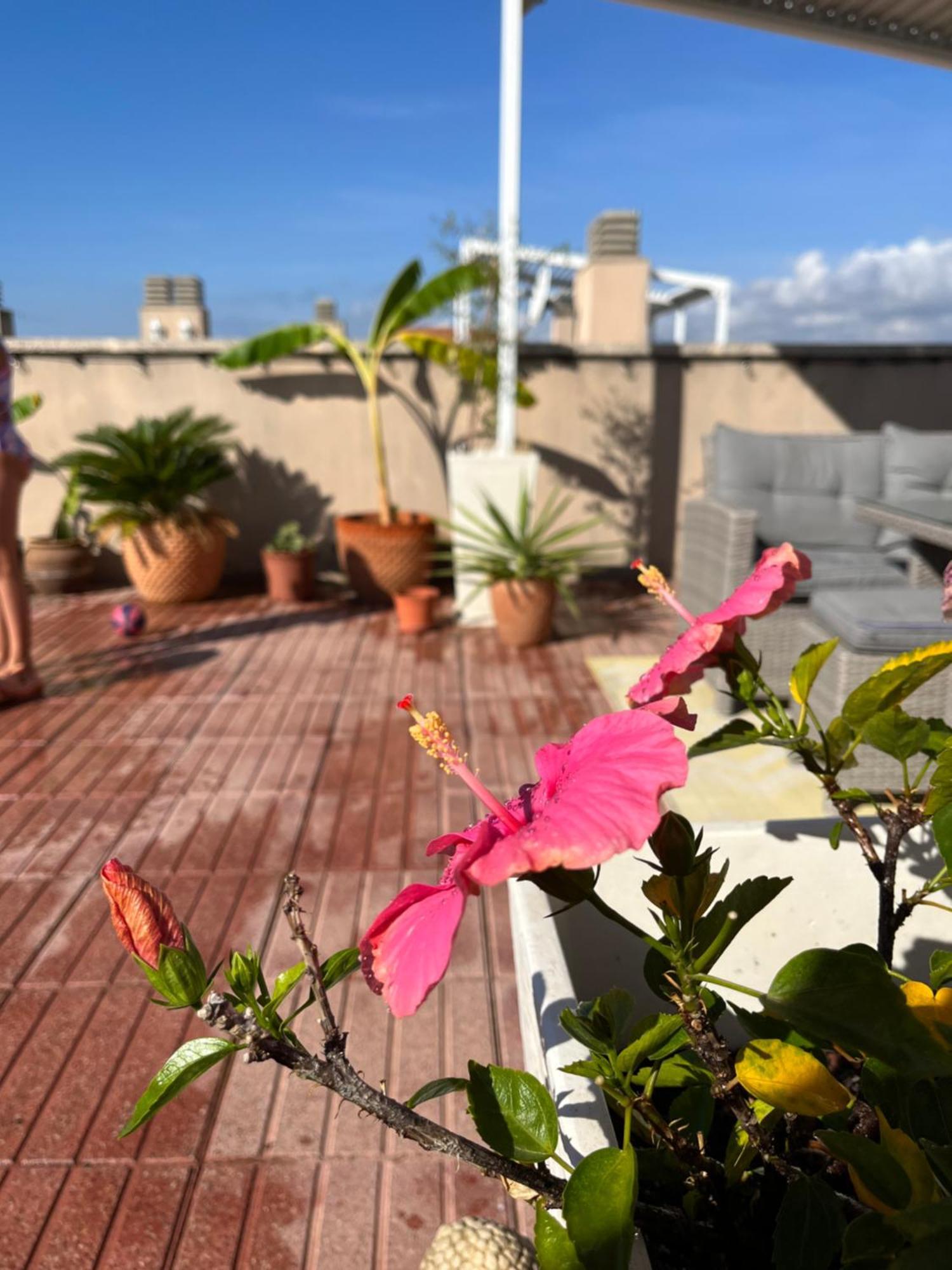 La azotea Apartman Cambrils Kültér fotó